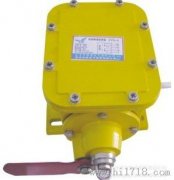 ZL-B、防撕裂裝置、ZL-A縱向撕裂保護(hù)裝置廠家直銷(xiāo)
