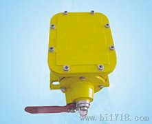YH-PLR/50縱向撕裂開關(guān)，撕裂傳感器隔爆型